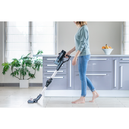 EZICLEAN Cycloboost R880 Tier Stielsauger, Batteriebetrieb, 450 Watt