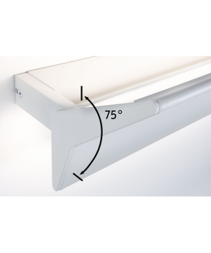 PAULMANN LICHT Stine (79512) Wandleuchte Tunable White