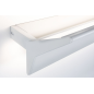 PAULMANN LICHT Stine (79512) Wandleuchte Tunable White PAULMANN LICHT Stine (79512) Wandleuchte Tunable White