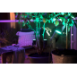 PHILIPS HUE LILY mehrfarbig, 3er Basis-Set Aussenleuchte mehrfarbig PHILIPS HUE LILY mehrfarbig, 3er Basis-Set Aussenleuchte mehrfarbig