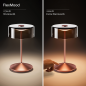 SIGOR Akku-Glasleuchte NUMOTION Tischlampe warmweiss rosegold SIGOR Akku-Glasleuchte NUMOTION Tischlampe warmweiss rosegold