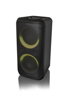 PEAQ PPS200 Partybox, Schwarz
