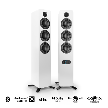 NUBERT nuPro SP-500 HiFi-Lautsprecher, Graphit