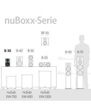 NUBERT nuBoxx B-30 Regallautsprecher Regallautsprecher, Eisgrau