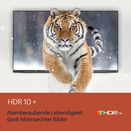 GRUNDIG 65 GOB 9380 OLED TV (65 Zoll / 161 cm, UHD 4K, SMART TV, Ambilight, Android 11)