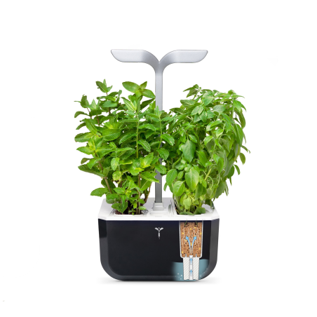 VERITABLE Exky SMART Indoor inkl. 2 Packs Saatgut Kräutergarten-Set, Lieferumfang	Gerät, Saatgüter, Netzteil, Handbuch