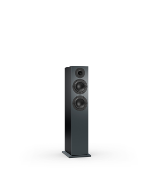 NUBERT nuBoxx B-60 Standlautsprecher Standlautsprecher, Graphit