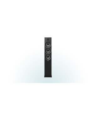 ELAC Debut F6.2 Standlautsprecher, Schwarz