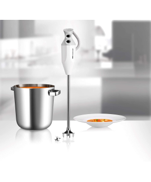 ESGE-ZAUBERSTAB 90890 G 350 GASTRO MAX Stabmixer Weiß/Grau (350 Watt)