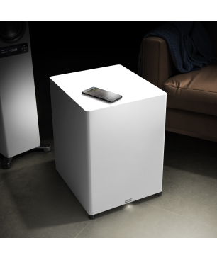 NUBERT nuSub XW-900 Subwoofer, Schwarz