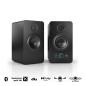 NUBERT nuPro SP-200 HiFi-Lautsprecher, Eisgrau NUBERT nuPro SP-200 HiFi-Lautsprecher, Eisgrau