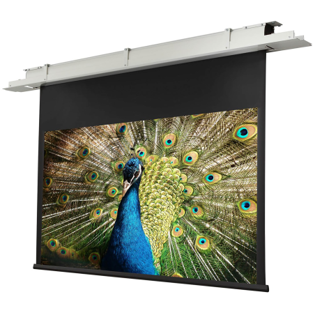 CELEXON Deckeneinbau Expert Deckeneinbauleinwand, Bildbreite: 300 cm