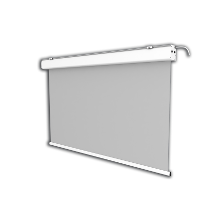 CELEXON Expert Motorleinwand? Bildbreite: 250 cm