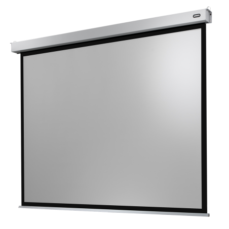 CELEXON Professional Plus Motorleinwand, Bilddiagonale (Zoll): 108 Zoll