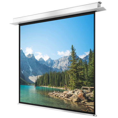 CELEXON Deckeneinbau Pro+ Deckeneinbauleinwand, Bilddiagonale (cm): 225 cm