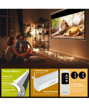 ESMART Professional MIMOTO 332 x 187 cm (150") 16:9 Motor-Leinwand