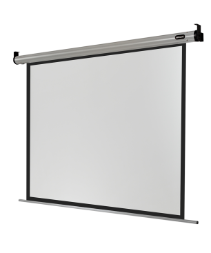 CELEXON HomeCinema Motorleinwand, Bildhöhe: 146 cm