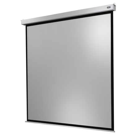 CELEXON Professional Plus Motorleinwand, Bilddiagonale (Zoll): 100 Zoll