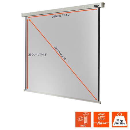 CELEXON Professional Motorleinwand, Bildhöhe: 290 cm