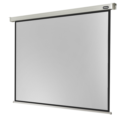 CELEXON Professional Motorleinwand, Bildhöhe: 218 cm