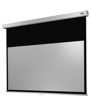 CELEXON Professional Plus Rolloleinwand