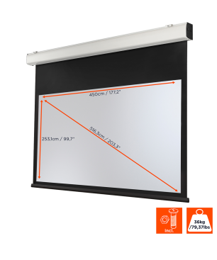 CELEXON Expert XL Motorleinwand