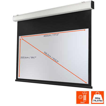 CELEXON Expert XL Motorleinwand