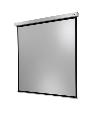 CELEXON Professional Plus Motorleinwand, Bildbreite: 300 cm