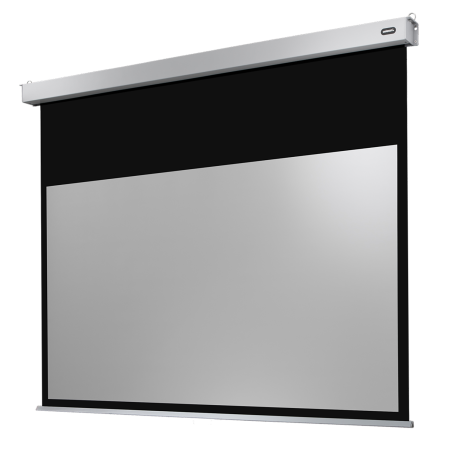 CELEXON Professional Plus Motorleinwand
