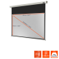 CELEXON Professional Motorleinwand CELEXON Professional Motorleinwand