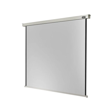 CELEXON Professional Motorleinwand, Gewicht: 18 kg