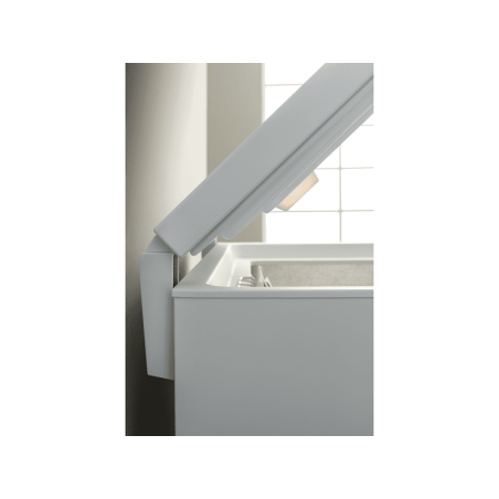BAUKNECHT GTE 280 Gefriertruhe (C, 916 mm hoch)