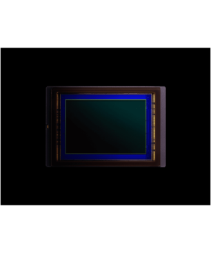 NIKON D 6 Gehäuse Spiegelreflexkamera, 20,8 Megapixel, 4K, Touchscreen Display, Schwarz