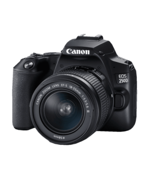 CANON EOS 250D Kit + Tasche SB130 und Speicherkarte SD 16 GB Spiegelreflexkamera, 24,1 Megapixel, 18-55 mm Objektiv