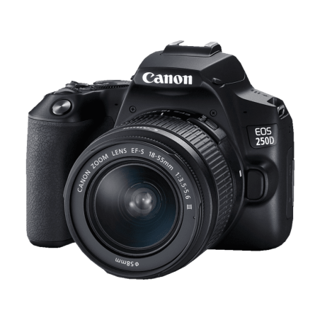 CANON EOS 250D Kit + Tasche SB130 und Speicherkarte SD 16 GB Spiegelreflexkamera, 24,1 Megapixel, 18-55 mm Objektiv