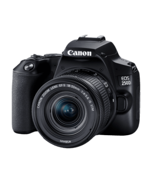 CANON EOS 90D Kit Spiegelreflexkamera, 32,5 Megapixel, 18-135mm Objektiv (EF-S, IS II, USM), Touchscreen Display, WLAN, Schwar