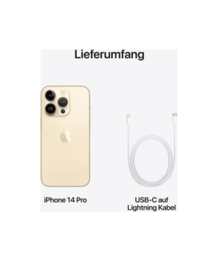 iPhone 14 Pro Max 1 TB Gold Dual SIM
