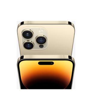 iPhone 14 Pro Max 1 TB Gold Dual SIM