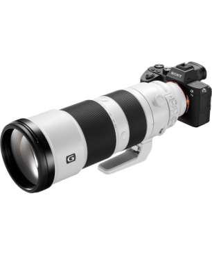 SONY SEL70200G Vollformat 70 mm - 200 mm f/4.0 G-Lens, OSS, ED, FRL, DMR, Circulare Blende, IF (Objektiv für Sony E-Mount, Weiß)