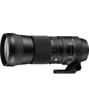 SIGMA 745955 Contemporary 150 mm - 600 mm f/5-6.3 DG (Objektiv für Nikon F-Mount, Schwarz)