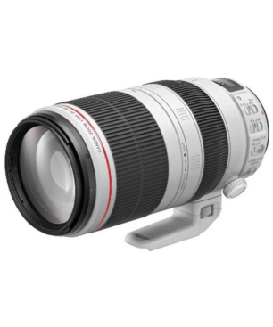 CANON EF 100-400mm f/4.5-5.6L IS II USM 100 mm - 400 mm f/4.5-5.6 EF, IS, L-Reihe, USM (Objektiv für Canon EF-Mount, Weiß)