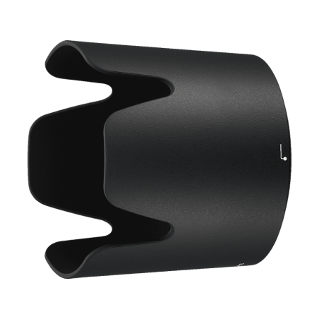 NIKON JAA833DA 70 mm - 300 mm f/4.5-5.6 AF-P, ED, VR (Objektiv für Nikon F-Mount, Schwarz)