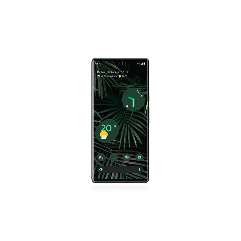 Google Pixel 6 Pro 256GB Stormy Black