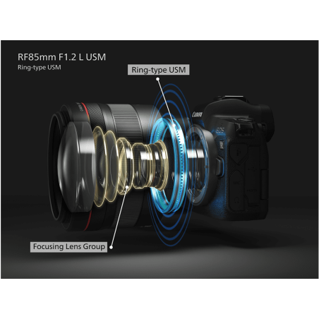 CANON RF - 85 mm f/1.2 L-Reihe (Objektiv für Canon R-Mount, Schwarz)