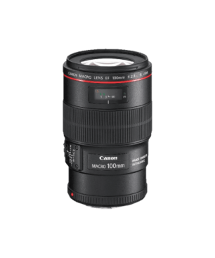 CANON EF 100mm F2.8L Macro IS USM - 100 mm f/2.8 EF, IS, USM, L-Reihe (Objektiv für Canon EF-Mount, Schwarz)