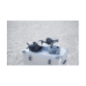 DJI FPV Combo Drohne Grau DJI FPV Combo Drohne Grau