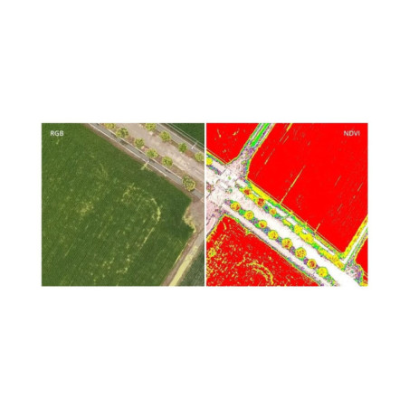 DJI P4 Multispectral