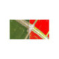 DJI P4 Multispectral DJI P4 Multispectral