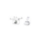 DJI P4 Multispectral DJI P4 Multispectral