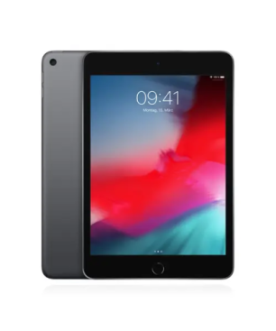 Apple iPad Mini (2019) 256GB WiFi space grau